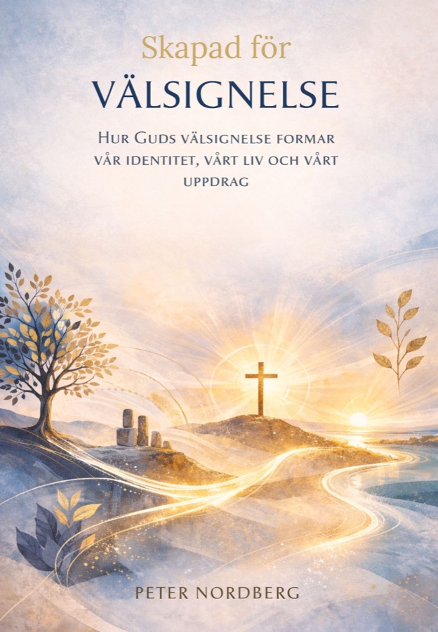 Omslaget till boken Skapad för välsignelse